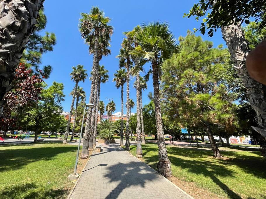 Sol Y Playa Costa Blanca Apartment Torrevieja Bagian luar foto